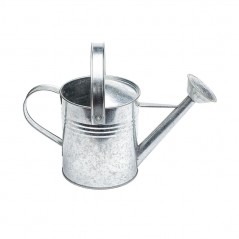 duża srebrna konewka